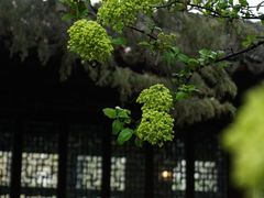 -沧浪亭