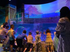 -沈阳海洋探索中心