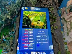 -合肥海洋世界