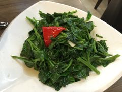 -九毛九西北菜(大东海店)