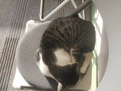 -野上麦田(中贸广场店)