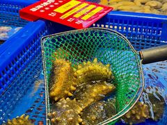 -驻海渔市(置信店)