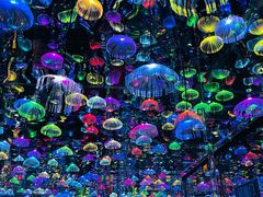-上海梵高星空艺术馆(南京路旗舰店)
