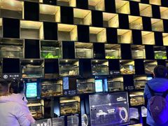 -太平洋海底世界