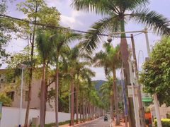 -火炉山森林公园