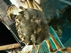 -渔娘蟹庄(阳澄湖莲花岛店)