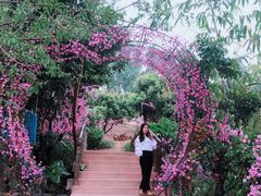 -观澜山水田园