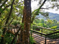 -深圳仙湖植物园-停车场