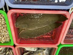 -都斛海鲜街