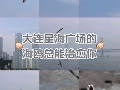 -星海广场