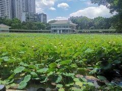 -荔湾湖公园