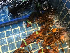 -阿娘家·原生态农家菜(国顺东路店)