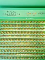 -青稚护手霜QINGZHI