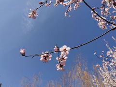 -王歘歘·chuǎ火锅(五道营店)