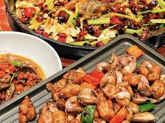 -老板恋上鱼(恒隆广场店)