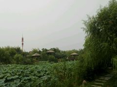 -清明上河园-迎宾门售票处