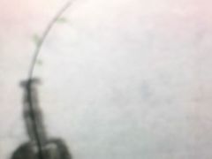 -学知乐教育·幼小衔接·小学科辅导(嘉定镇校区)