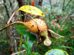 -重庆云阳龙缸景区