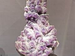 -湖南省地质博物馆