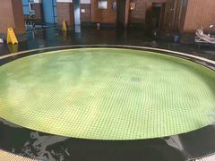 -BK博·康健身(金地格林小镇店)