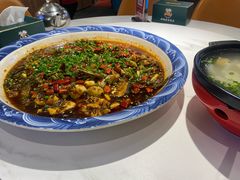 -新概念来凤鱼(璧山店)