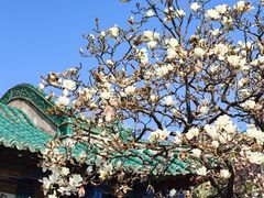 -文山荷鲜居(翠湖店)