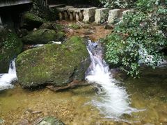 -牛背梁国家森林公园