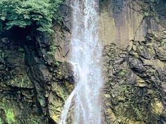 -上海辰山植物园