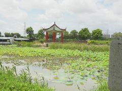 -崖口煲仔饭