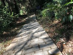 -玉树公园