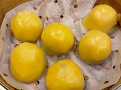 -鹤乡东北菜(崮山路店)