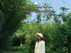 -南宁良凤江国家森林公园