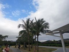 -亚龙湾中心广场