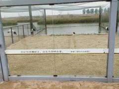 -盐城丹顶鹤湿地生态旅游区
