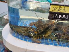 -大众海鲜(巨龙北路店)