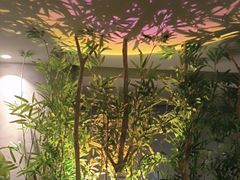 -施奈儿.洗头頭療.按摩SPA.采耳(上梅林店)