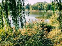 -北坞公园