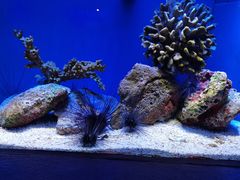 -上海海洋水族馆