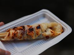-内涵饵块