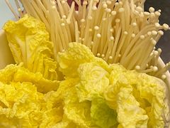 -麻田会 ·鲜活现烹·牛蛙火锅(珠江新城维家思广场店)