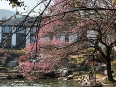 -中国茶叶博物馆(双峰馆区)