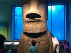 -美国自然历史博物馆