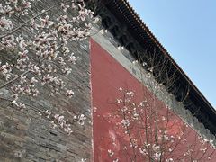 -东华门大街小区