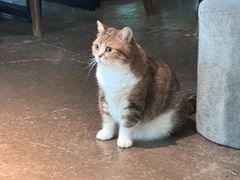 -咖法森林·咖啡  酒吧(天河店)