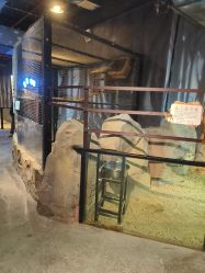 -酷嗒动物文化乐园(cutezoo西溪乐天城店)