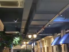 -金海湾海鲜总店