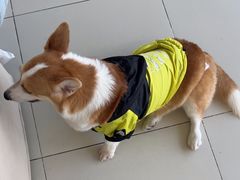 -怪兽屋·羊驼·猫咖·狗咖(俊华广场店)