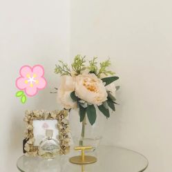 -Yukina Plus专业日式美肌