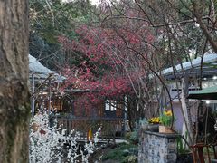 -凤来栖·净庭院·火锅(欧尚店)