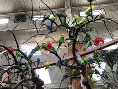 -红色盛宴酒楼(科丰桥店)